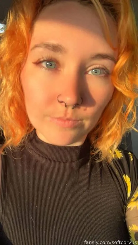 @softcorvus