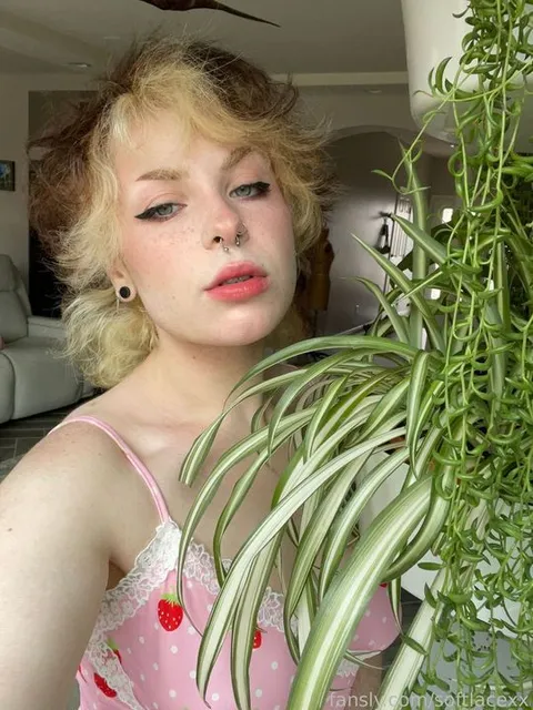 @softlacexx