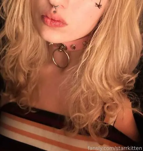 @starrkitten