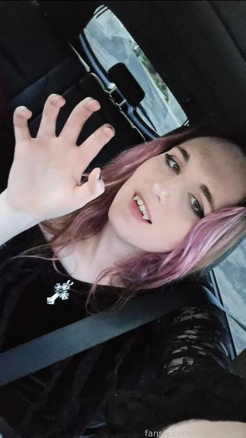 @StellePuppy
