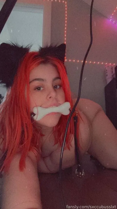 @sxccubusslxt