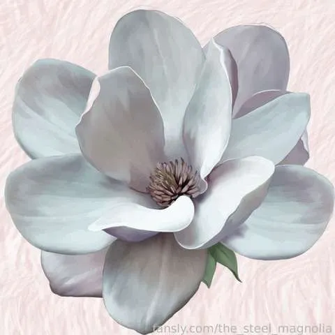 @the_steel_magnolia