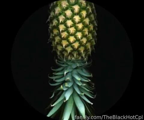 @TheBlackHotCpl