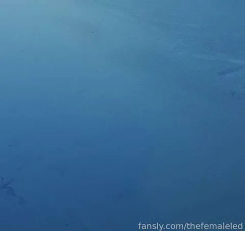 @thefemaleled