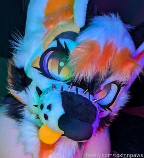@toxinnpaws