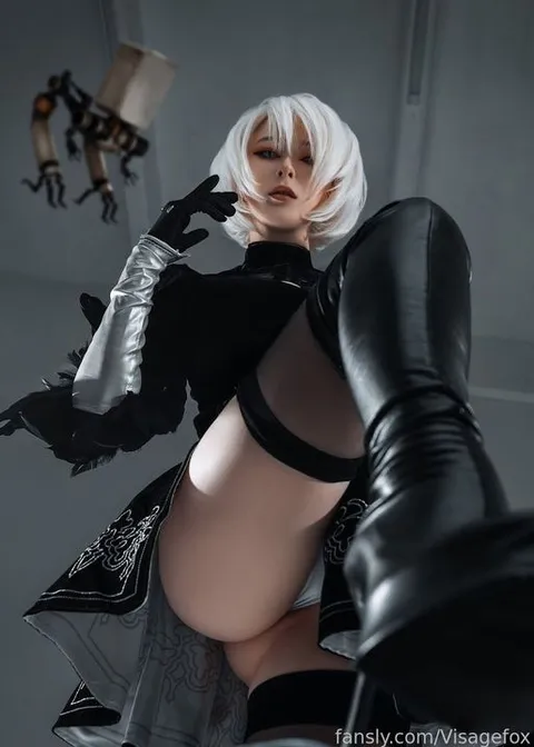 @Visagefox