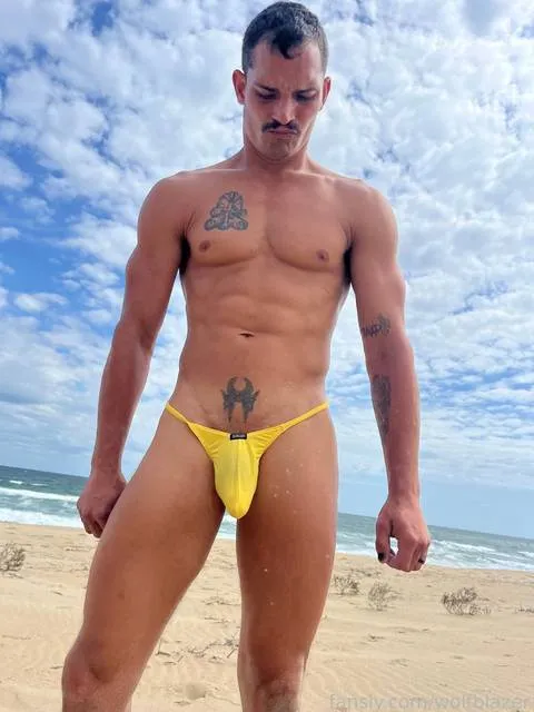 @wolfblazer