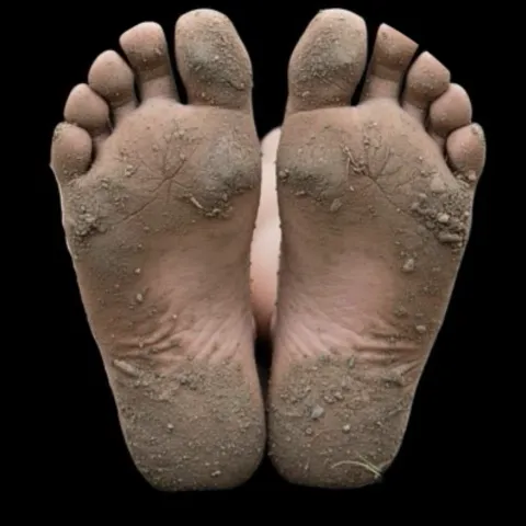 @ai.feet.io
