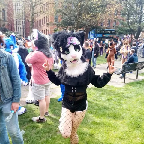 @bazbutt