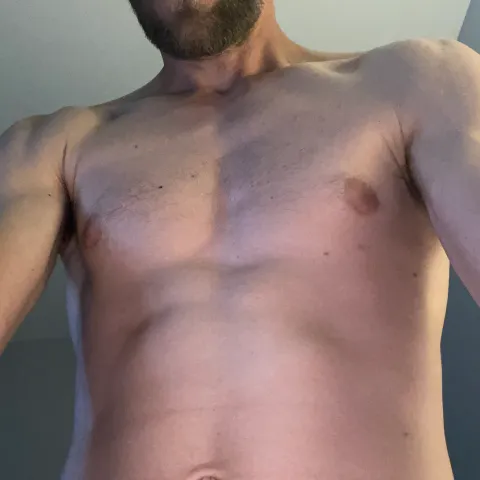 @bee_fittstud