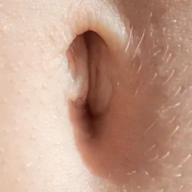 @bellybuttonparadise