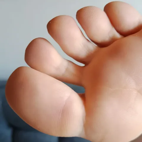 @curubasoles
