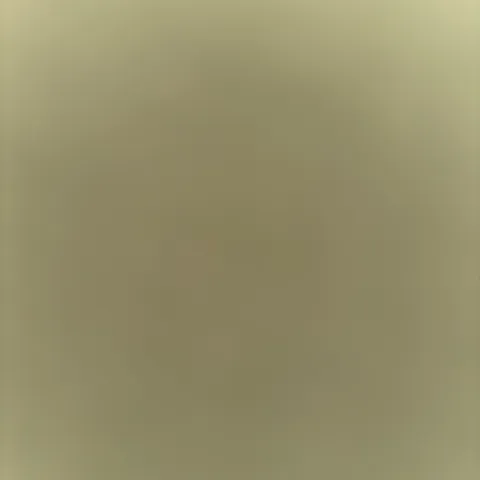 @duddydreams