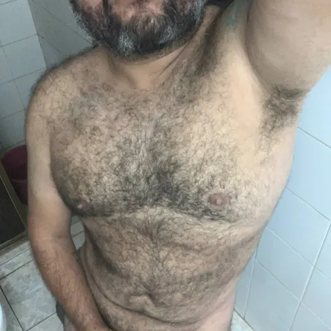 @elbearo