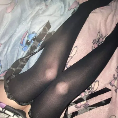 @gardenrose