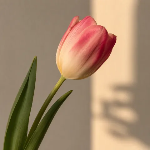 @itslolabloom