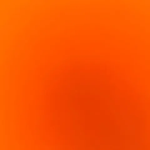 @alina_