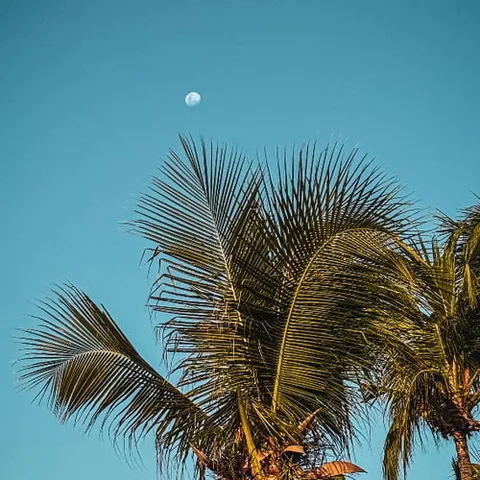 @daniel_gr