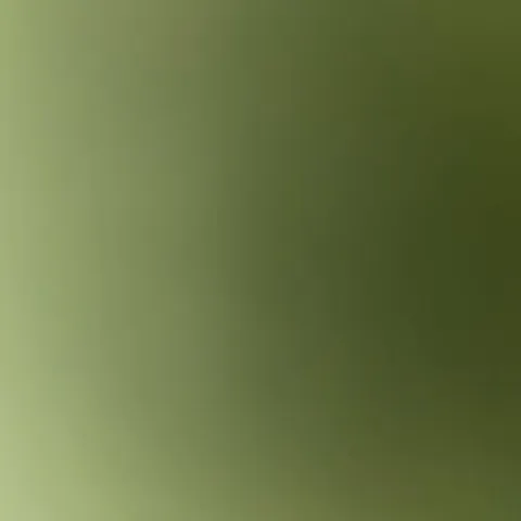 @emilybeck