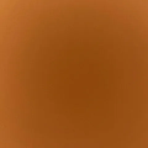 @juicy_girl