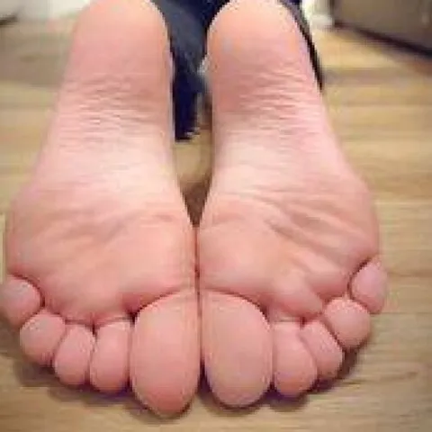 @necaria