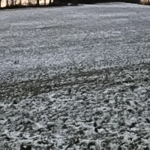 @papajoe83