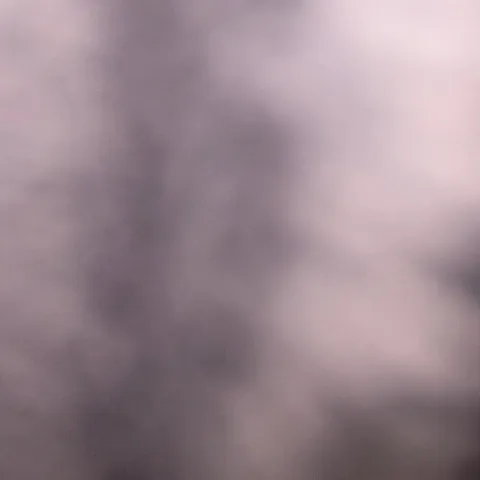 @sarahbu