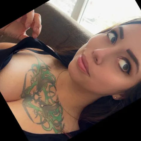 @shirosuccubus