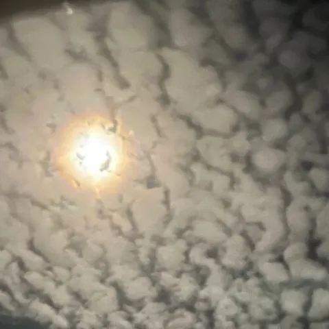 @sunnflower420
