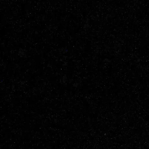 @tatjana.traube