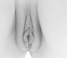 @dkmilf