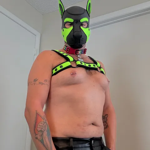 @goodboipup