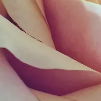 @rachelwoodx