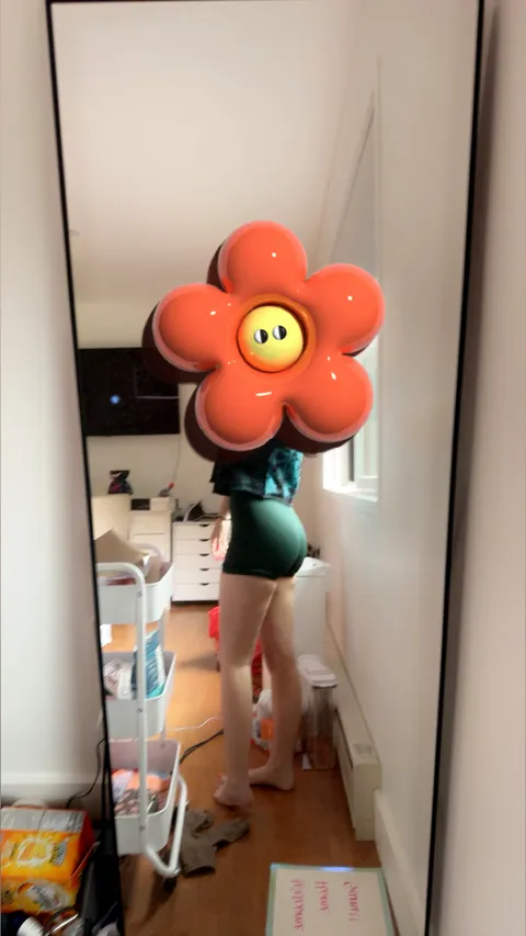 @addisonlane1