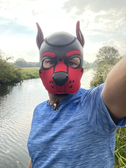 @adidaspaws