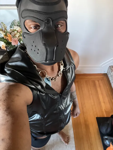 @adonis_perrier