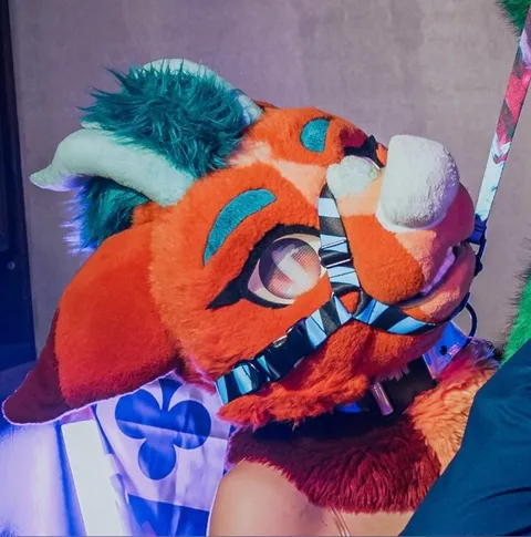 @ajaxwagoon