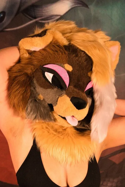 @alearkitty
