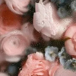 @anabellere59389