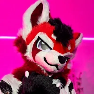 @arcohusky