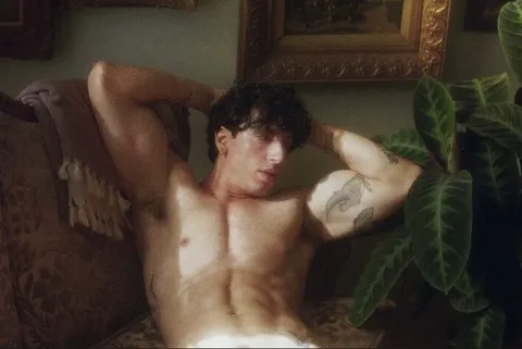 @artemisbold
