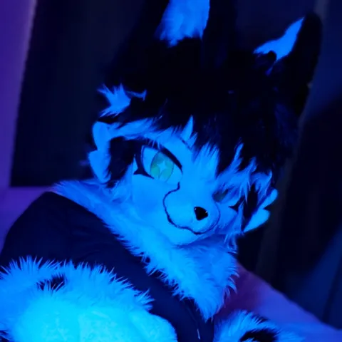 @arti_iris