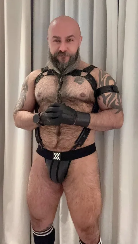 @beardedbearman