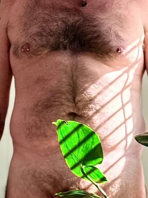 @bearnamedt