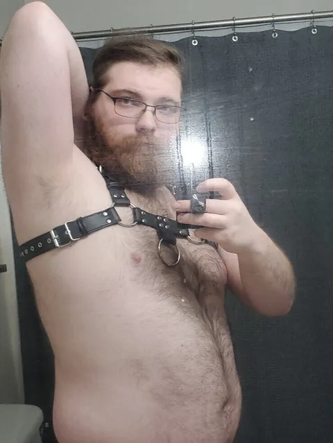 @bigbeargryff