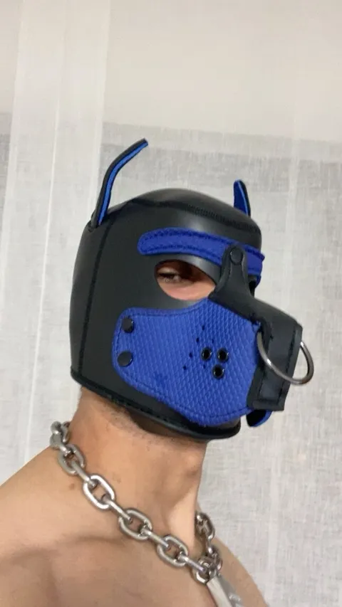 @blazethepupx