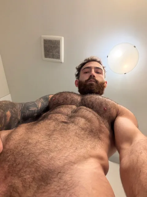 @brad_david