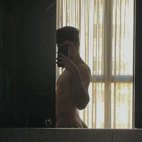 @brunoxm