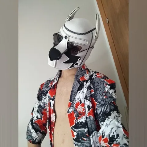 @cometpuppy