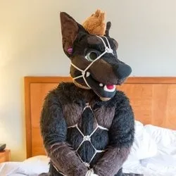 @daddydober
